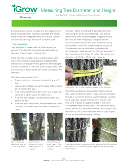 Measuring Tree Diameter and Height