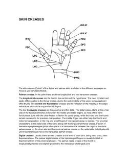skin creases