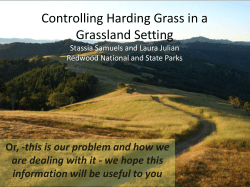Controlling Harding Grass in a Grassland Setting - Cal-IPC