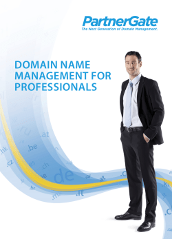 domain name management for professionals