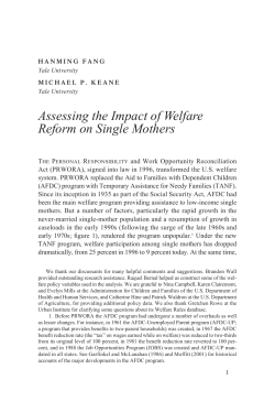 Assessing the Impact of Welfare Reform on Single Mothers