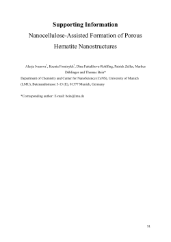 Supporting Information Nanocellulose