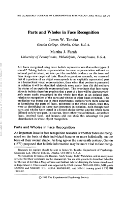 Parts and Wholes in Face Recognition