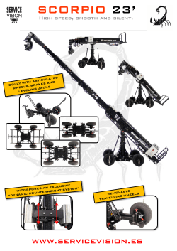 Scorpio 23 - Musitelli