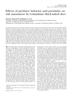 Effects of predator behavior and proximity on risk