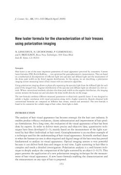 New luster formula for the characterization of hair