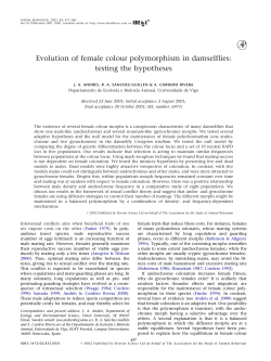 Evolution of female colour polymorphism in damselflies: testing the