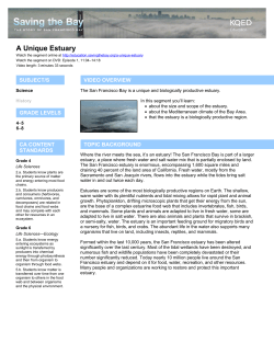 A Unique Estuary - Education