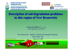 Description of soil degradation problems in this region of New