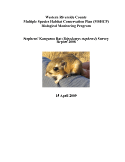 Stephens` Kangaroo Rat Survey Report 2008
