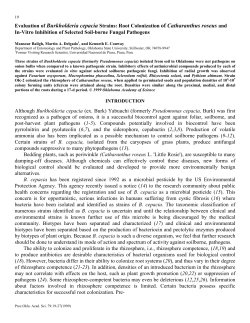 Evaluation of Burkholderia cepacia Strains: Root Colonization of