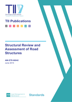 Structural Review and Assessment of Road