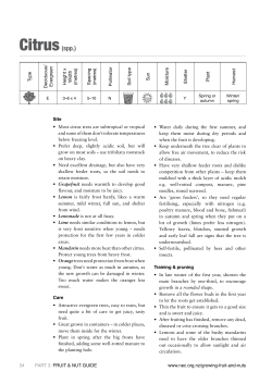 Fruit Guide &ndash; 3