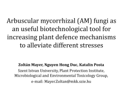 Arbuscular mycorrhizal (AM) fungi as an useful