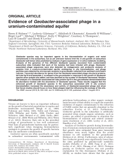 Evidence of Geobacter-associated phage in a uranium
