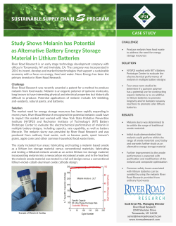 Study Shows Melanin has Potential as Alternative Battery Energy