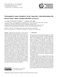 Stratospheric ozone chemistry in the Antarctic