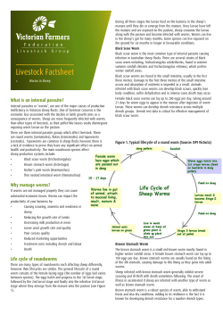 Livestock Factsheet - Victorian Farmers Federation