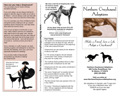 here - Northern Greyhound Adoptions