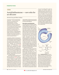 Acetylcholinesterase &mdash; new roles for an old actor