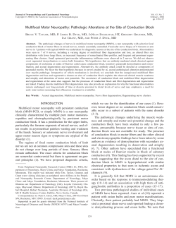 Pathologic Alterations at the Site of Conduction Block
