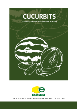 cucurbits