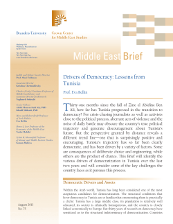 Drivers of Democracy: Lessons from Tunisia