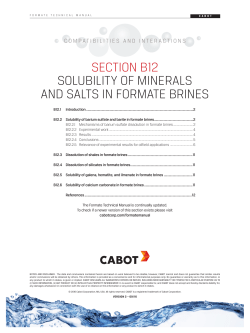 section b12 solubility of minerals and salts in formate brines