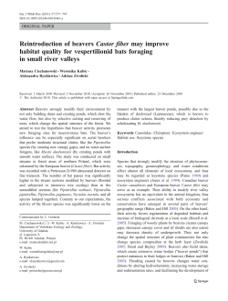Reintroduction of beaversCastor fibermay improve habitat quality for