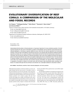 evolutionary diversification of reef corals: a