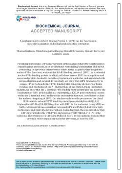 A polybasic motif in ErbB3-Binding