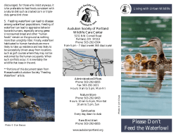 Feeding Waterfowl - Audubon Society of Portland