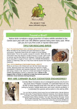 Found a Bird? - Native ARC Inc