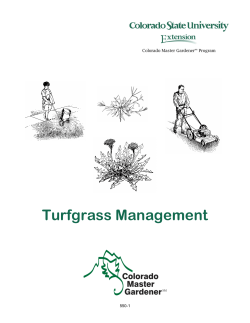 Turfgrass Management - Colorado State University Extension