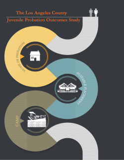 The Los Angeles County Juvenile Probation Outcomes Study