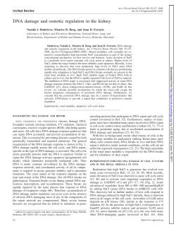 DNA damage and osmotic regulation in the kidney - AJP