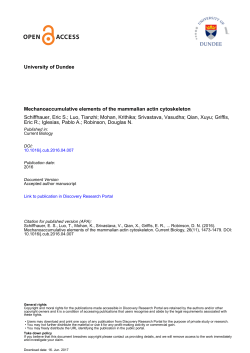 University of Dundee Mechanoaccumulative elements of