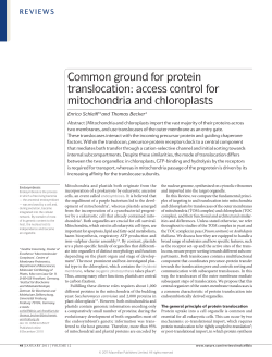 Common ground for protein translocation: access control for