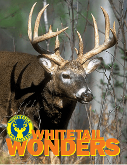 Whitetail Wonders - Whitetails Unlimited