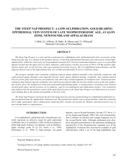 the steep nap prospect: a low-sulphidation, gold