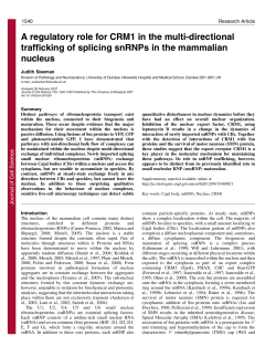 A regulatory role for CRM1 in the multi