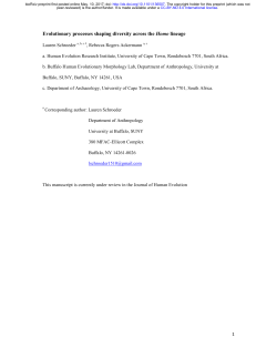 Evolutionary Processes Shaping Diversity Across The