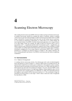 Scanning Electron Microscopy