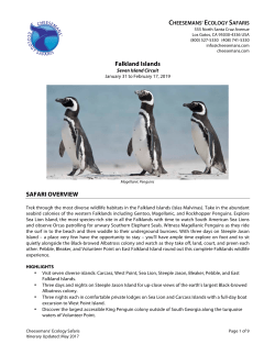 Falkland Islands SAFARI OVERVIEW