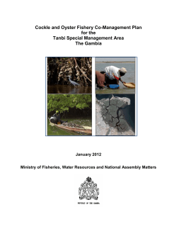 Cockle and Oyster Fishery Co-Management Plan for the Tanbi