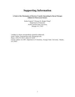 Supporting Information