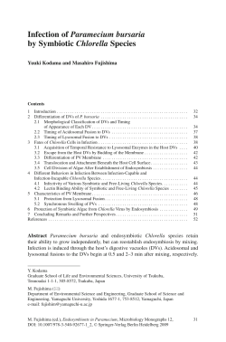 Infection of Paramecium bursaria by Symbiotic Chlorella Species