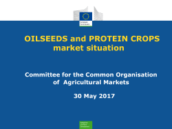 OILSEEDS and PROTEIN CROPS market situation