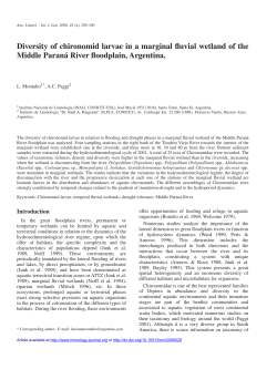 Diversity of chironomid larvae in a marginal fluvial wetland of the
