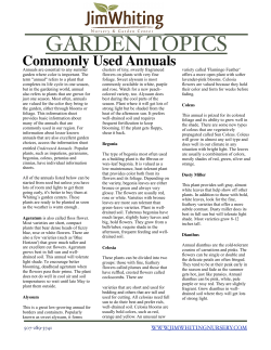 Commonly Used Annuals